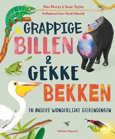 Grappige Billen En Gekke Bekken 6 Jr+ 1 Grappige Billen En Gekke Bekken 6 Jr+