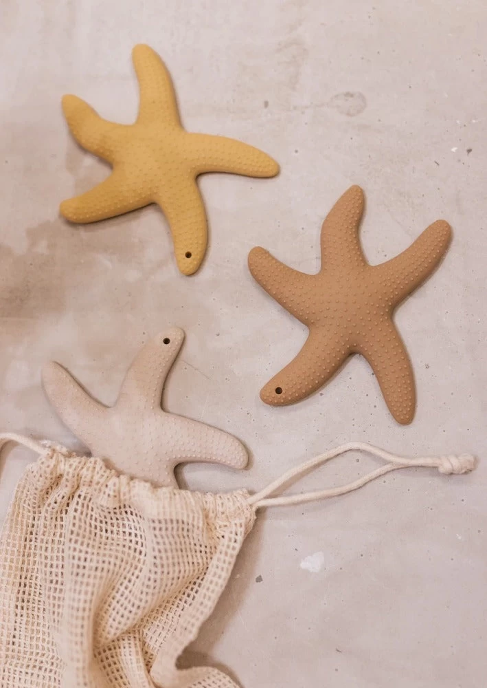 Mrs Ertha Bijtring Lucky Star Honey 2 Mrs Ertha Bijtring Lucky Star Honey - Afbeelding 2