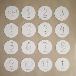 Mushie Milestone Cards 9 Mushie Milestone Cards -Creatieve Speelgoed Winkel Mushiemilestonecardsb