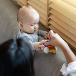 PLAN TOYS Baby Auto 6 M+ 10 PLAN TOYS Baby Auto 6 M+ -Creatieve Speelgoed Winkel PLANTOYSbabyauto6m 4005229a