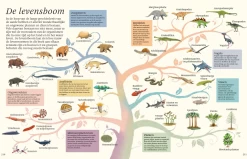 Het Dikke Boek Van Alle Bijzondere Dino's 7jr+ -Creatieve Speelgoed Winkel Snag 5c3e7eba