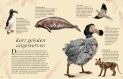 Het Dikke Boek Van Alle Bijzondere Dino's 7jr+ -Creatieve Speelgoed Winkel Snag 5c3edbfd