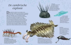 Het Dikke Boek Van Alle Bijzondere Dino's 7jr+ -Creatieve Speelgoed Winkel Snag 5c3f5b40