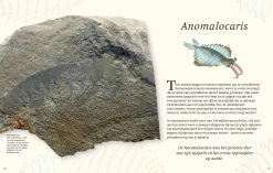 Het Dikke Boek Van Alle Bijzondere Dino's 7jr+ -Creatieve Speelgoed Winkel Snag 5c3fd532