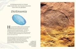 Het Dikke Boek Van Alle Bijzondere Dino's 7jr+ -Creatieve Speelgoed Winkel Snag 5c404dbe