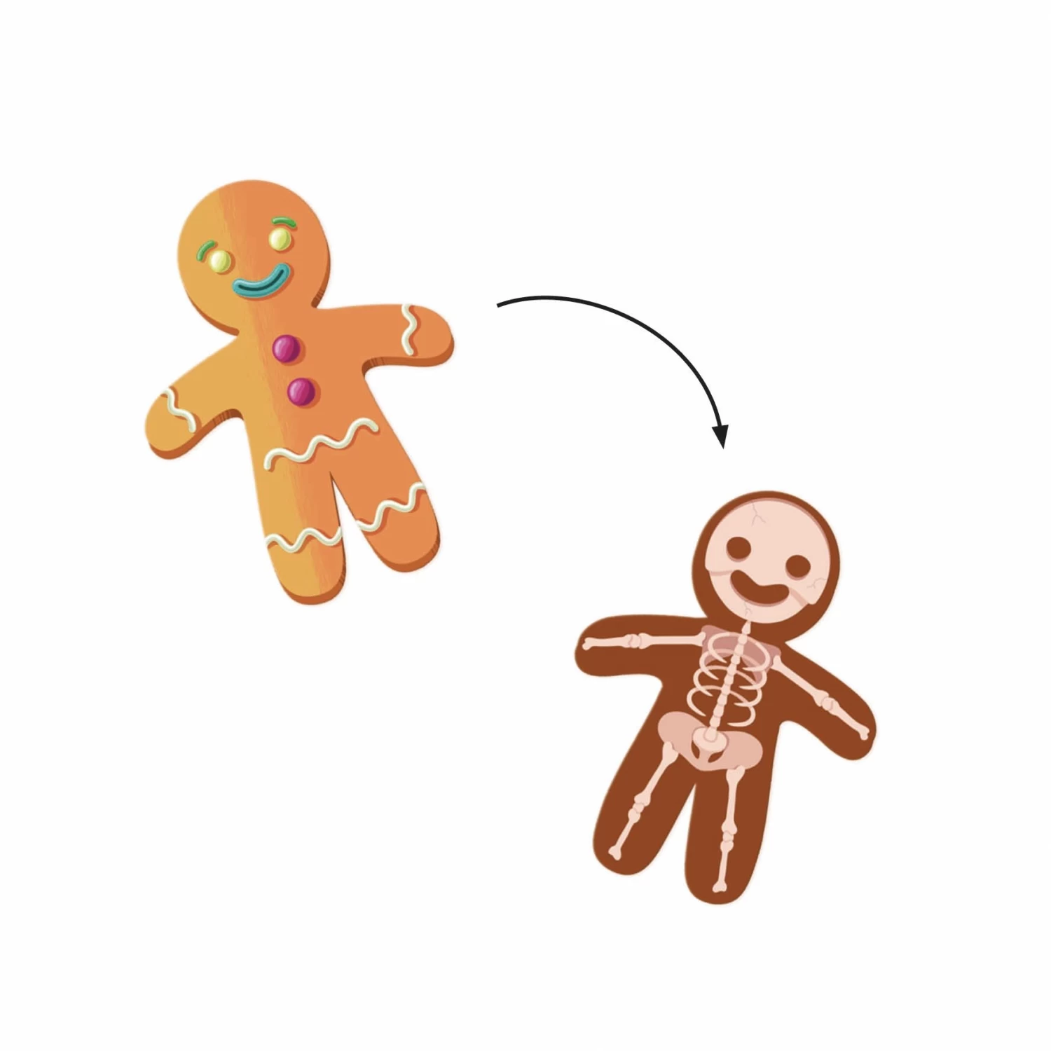 DJECO Stickers X-Rays 3 DJECO Stickers X-Rays - Afbeelding 3