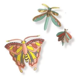 DJECO Cabinet De Curiosites 8 Jr+ 6 DJECO Cabinet De Curiosites 8 Jr+ -Creatieve Speelgoed Winkel djeco cabinet de curiosites dj08619 c