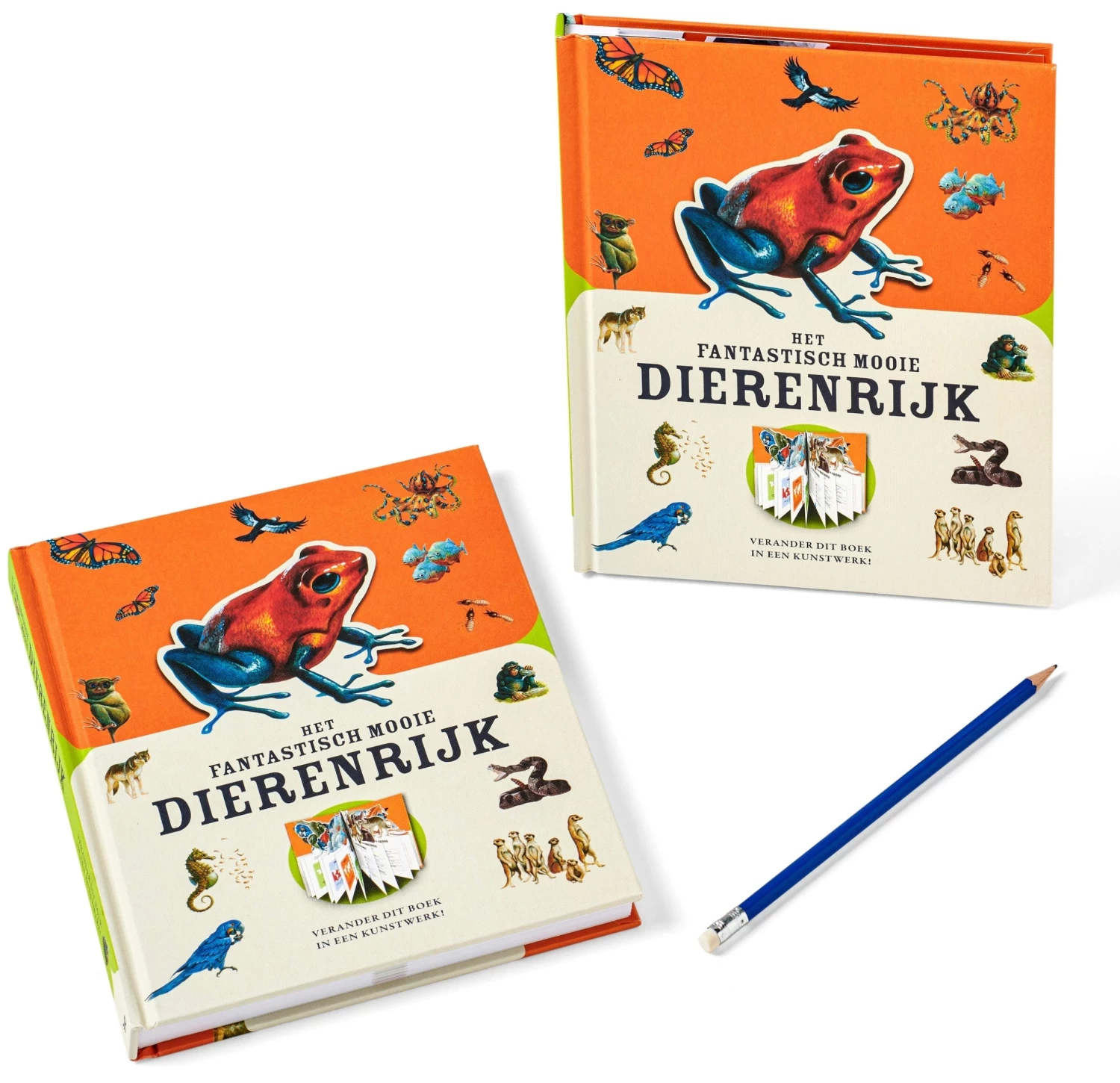 Het Fantastisch Mooie Dierenrijk 8 Jr+ 3 Het Fantastisch Mooie Dierenrijk 8 Jr+ - Afbeelding 3