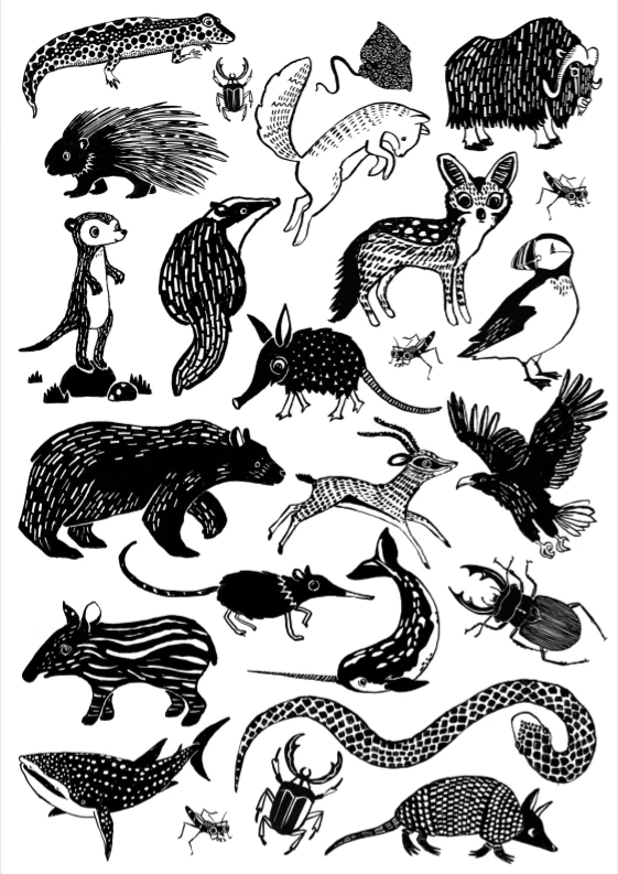 Petit Monkey Tattoo's Black Animals 2 Petit Monkey Tattoo's Black Animals - Afbeelding 2